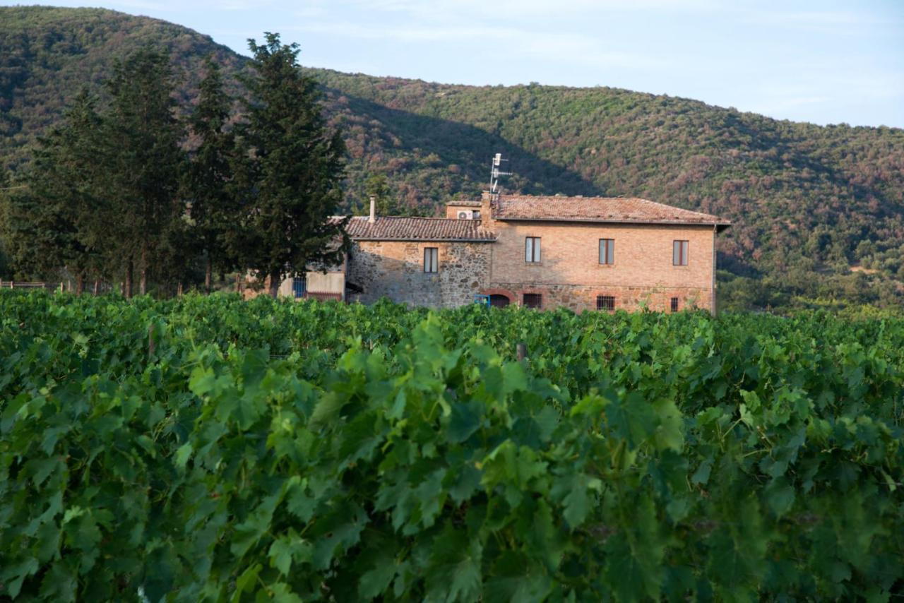 Luce Di Vino Villa Montalcino Exterior foto